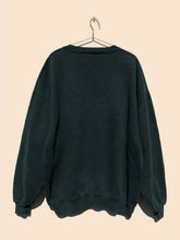 Load image into Gallery viewer, NFL Pittsburgh Steelers Sweater Forest Green (XXL)