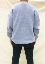 Load image into Gallery viewer, Vintage NFL Cleveland Browns Pro Player Sweater Grey/Orange (XL)