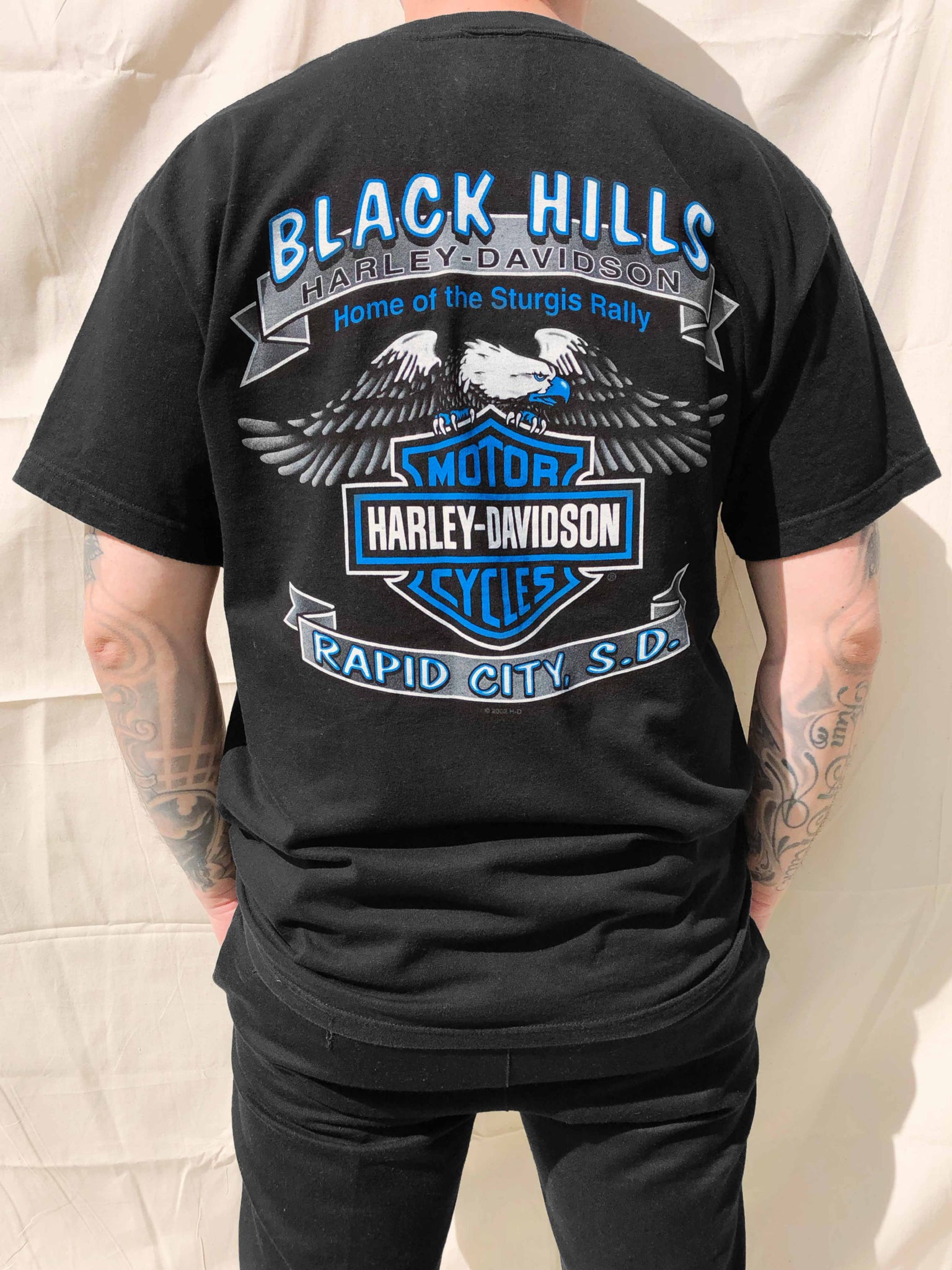 stole forvirring eftertiden Harley Davidson 00's Sturgis T-Shirt Black (L) – Chop Suey Official