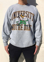 Load image into Gallery viewer, University Notre Dame Fighting Irish Sweater Grey (XL)
