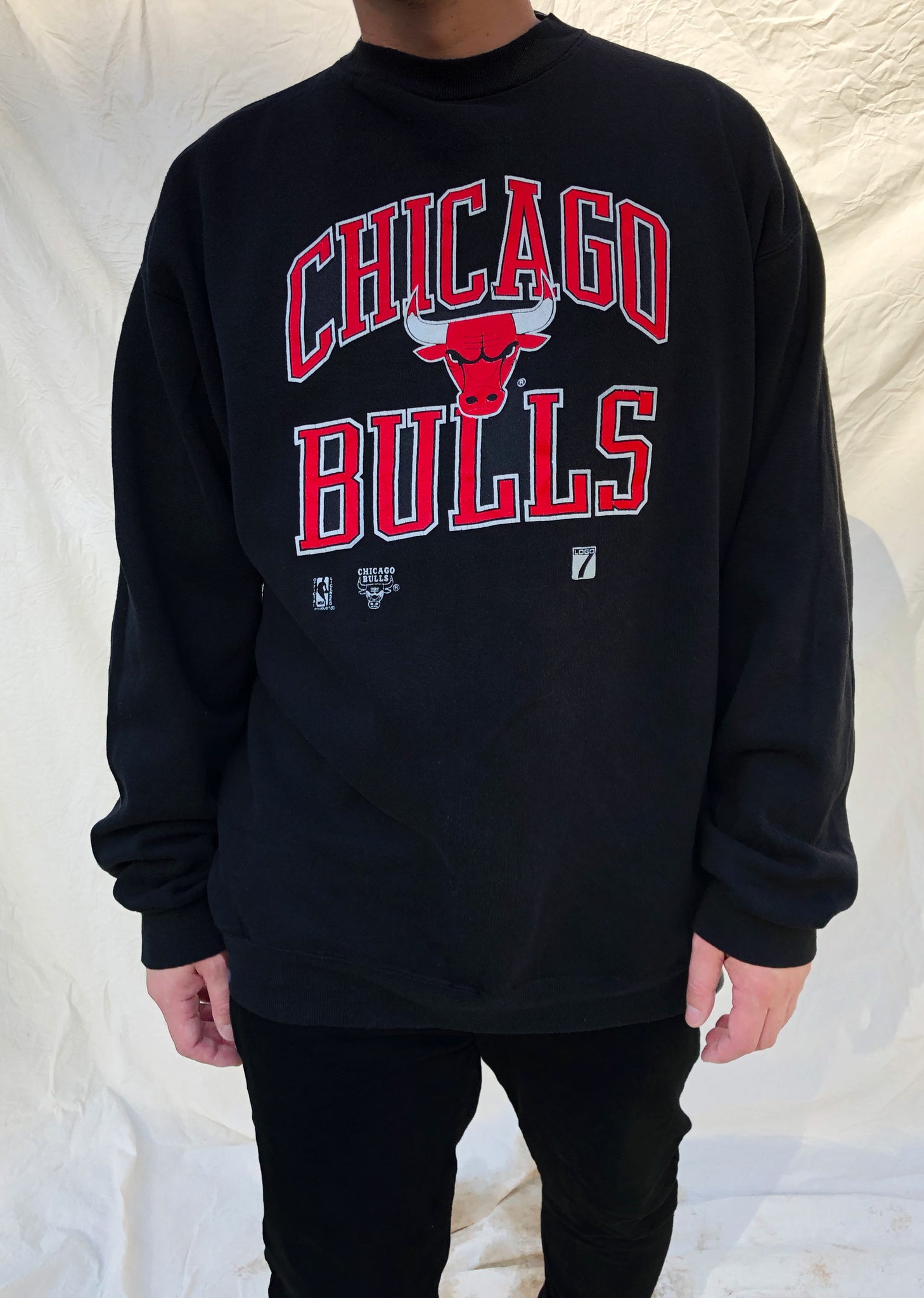 Vintage LEE Sport 90s Chicago Bulls Gray NBA Pullover Sweatshirt L