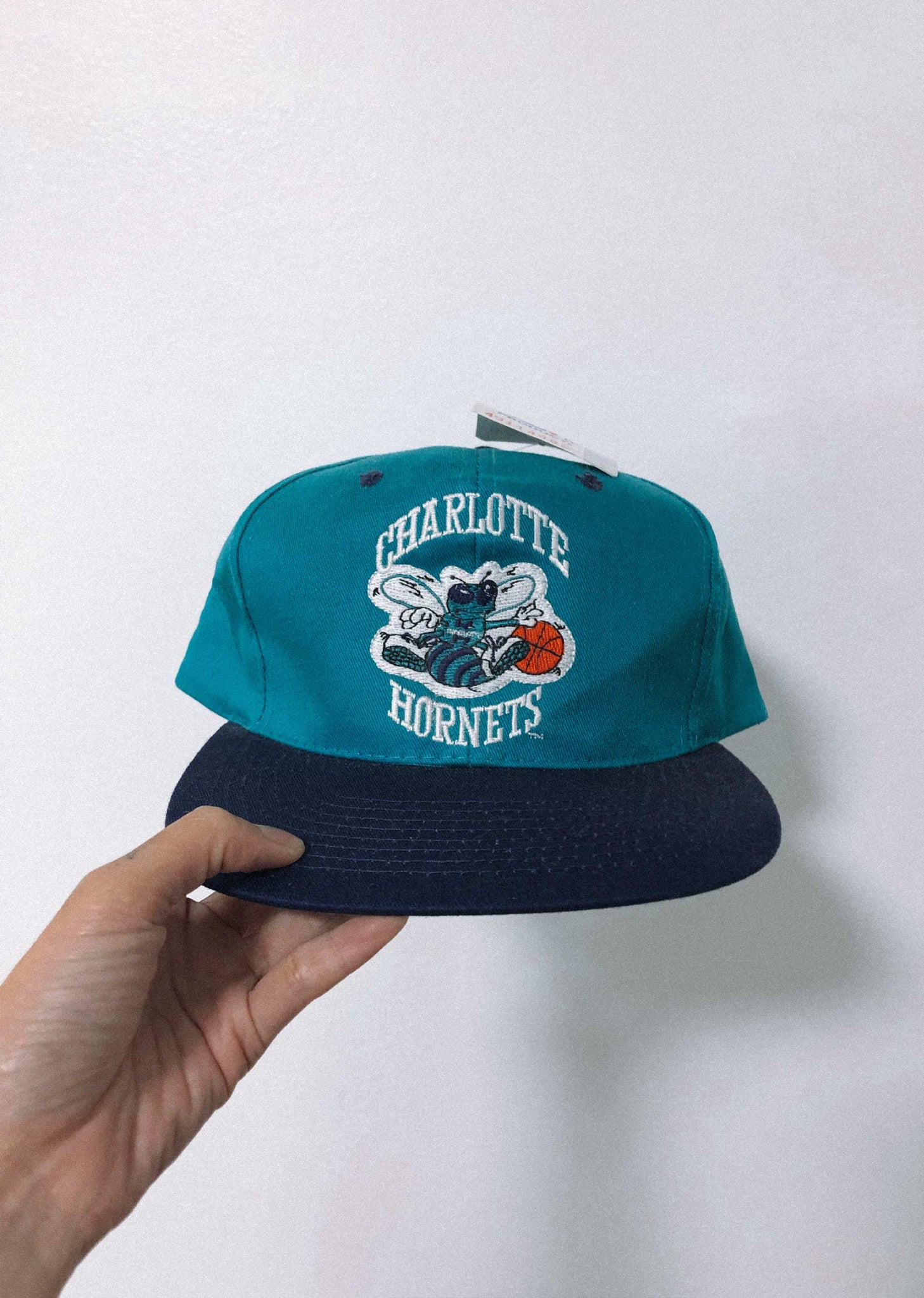 激レア90s Charlotte Hornets 刺繍ロゴ  キャップ 帽子 Vintage NBA Charlotte Hornets Snapback Cap Hat 80s 90s Twins